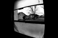 Resilience-Lower Ninth Ward 4
