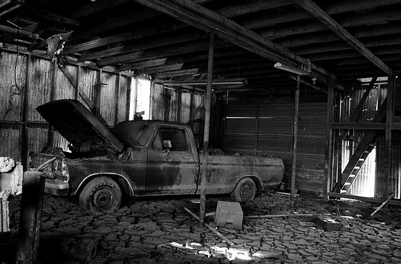 Resilience-Lower Ninth Ward