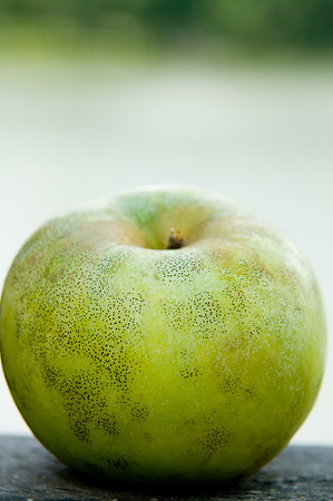Apples