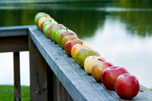 Ohio Apples