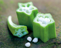 Okra