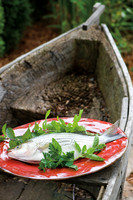 Fish Stew with Tomato Sauce