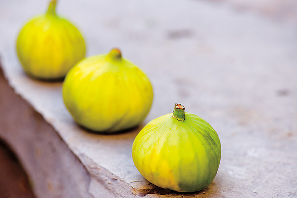 Figs