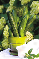 Cucumbers