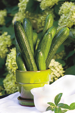 Cucumbers