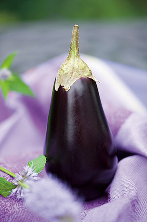 Eggplant