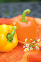Peppers