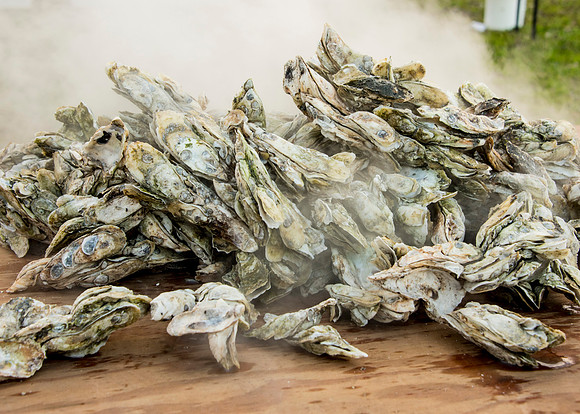 Oyster Roast