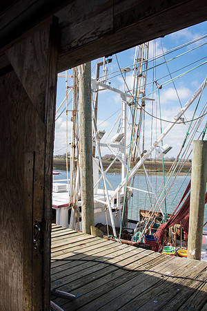 Shem Creek