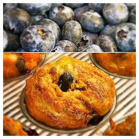 Vegan Blueberry Muffins