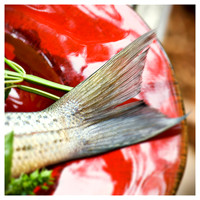 ...just a fish tail of a story